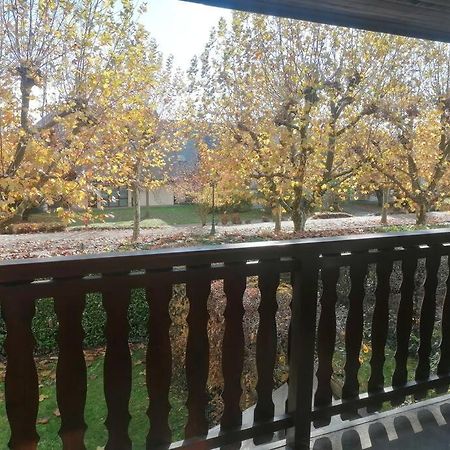 شقة إباني ميتس تيسي  في T1 Proche Annecy المظهر الخارجي الصورة